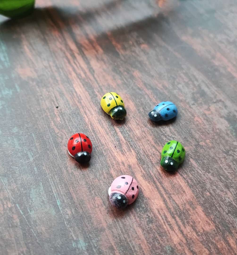 Ladybirds - set of 5- Sajja Garden Nursery