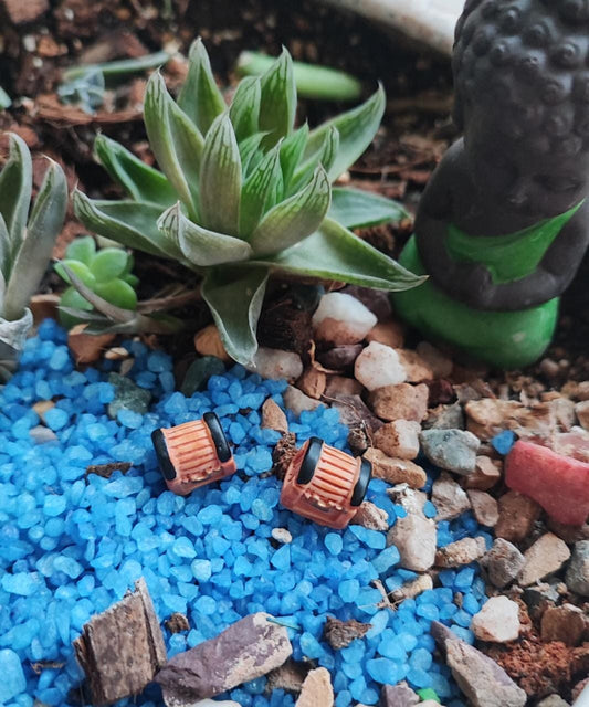 Treasure Box Plastic Resin miniature garden toy set of 1- Sajja Garden Nursery