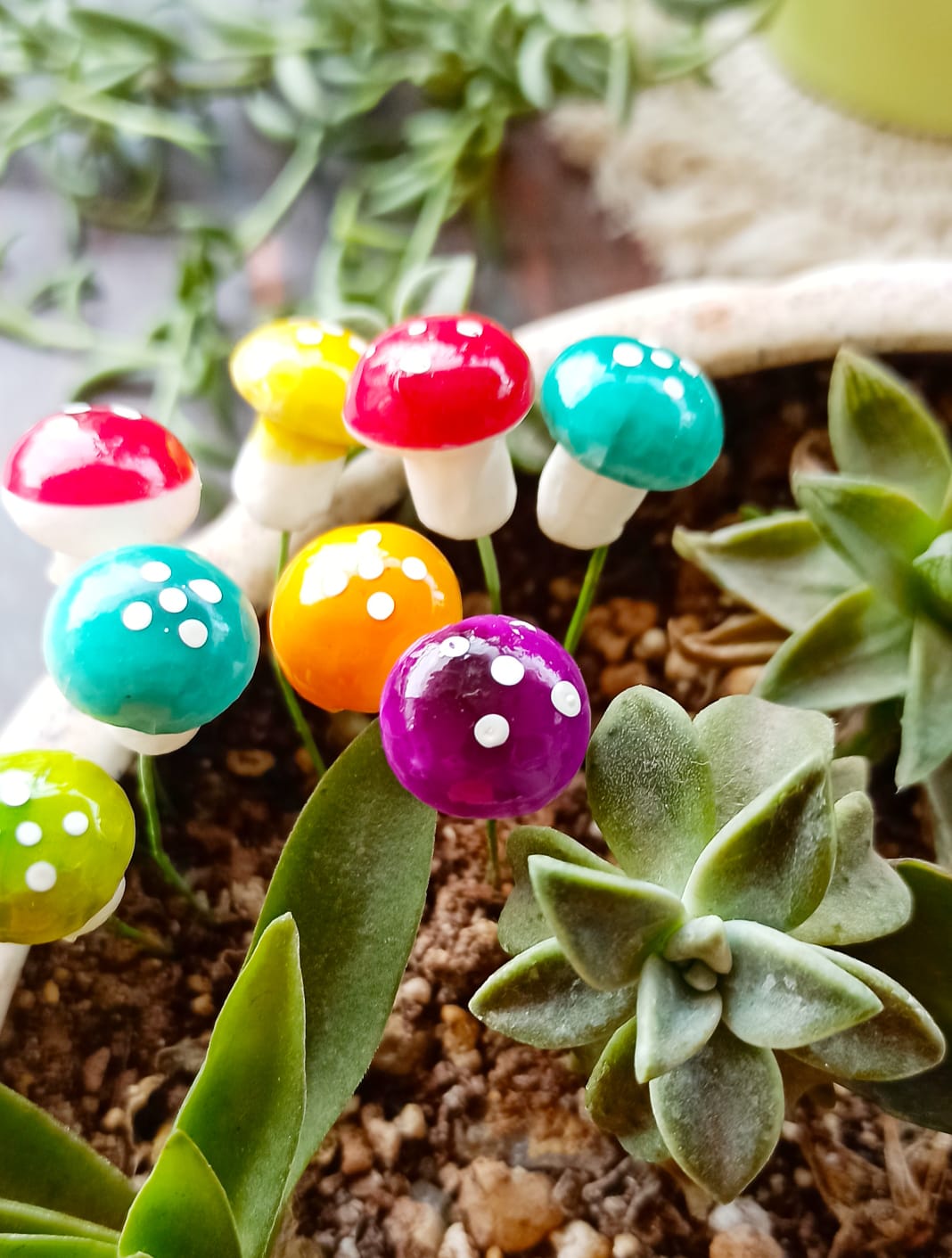 Assorted Foam Mushroom set of 5 - Sajja Garden Nursery