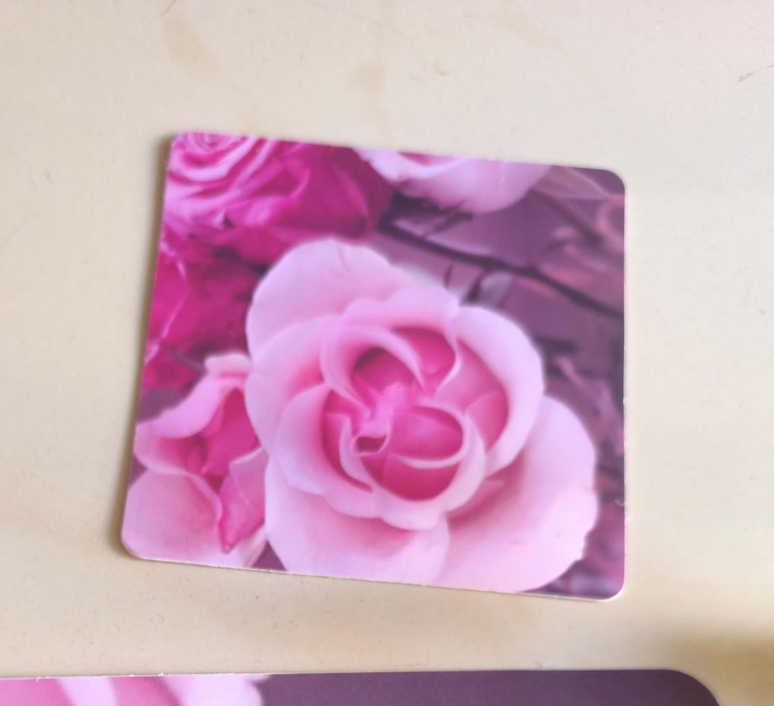 In the Orchard Designer PVC Vinyl Washable 6 Table Placemats and 6 Coaster sets