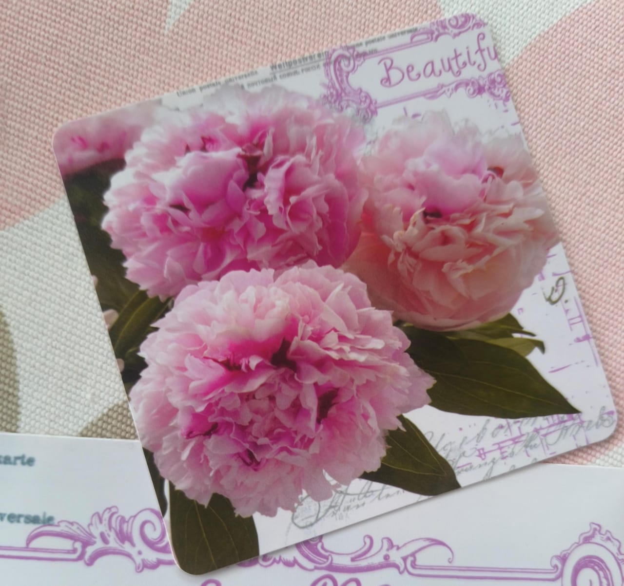 Floral Chrysanthemum Pack of 6 PVC Vinyl Washable Table Mats and Coaster