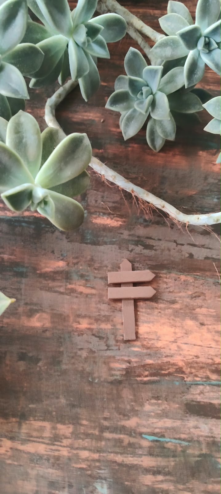 Miniature Brown Wooden Direction Sign Set of 1 -Sajja Garden Nursery