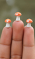 Miniature Orange mushroom figurines  Set of 3 - Sajja Garden Nursery