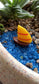 Mini Duck Fairy Garden Miniature Yellow and Red Boat Set of 1 - Sajja Garden Nursery