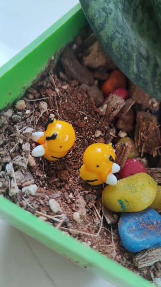 Honey Bee Set of 2- Sajja Garden Nursery