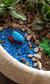 Fairy Garden Miniature Blue and White Boat Set of 1 - Sajja Garden Nursery