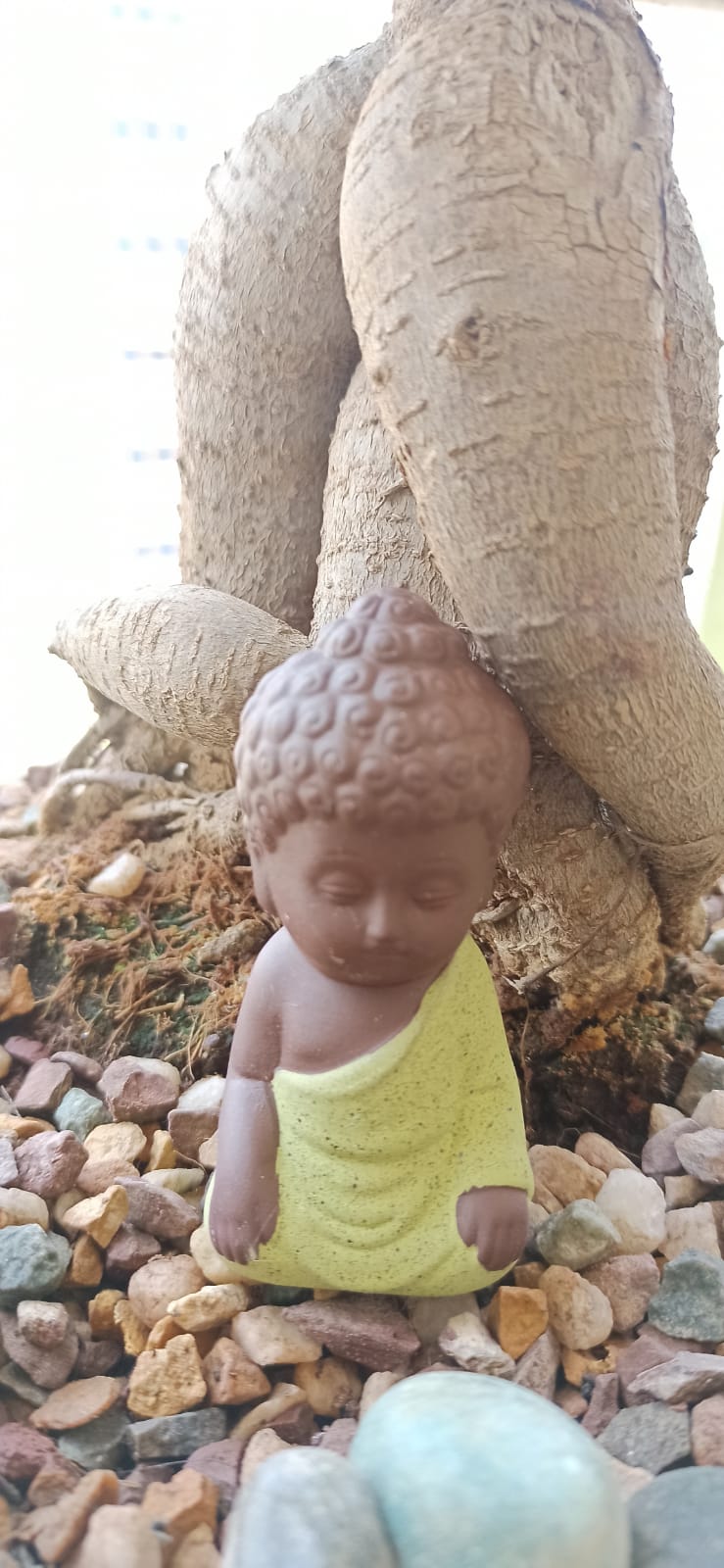 Meditating  Praying Light Green Buddha Set of 1 - Sajja Garden Nursery