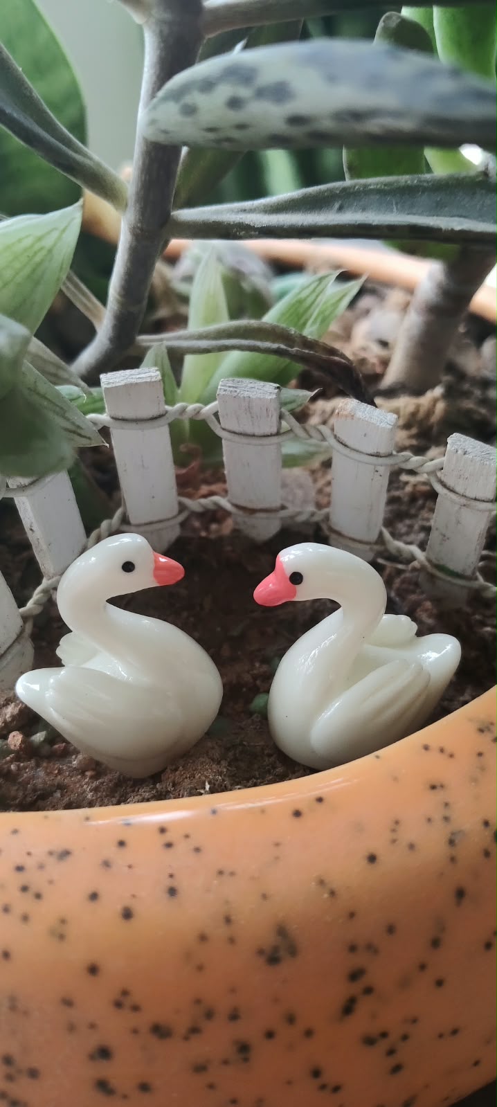 Miniature of Swan Couple - Sajja Garden Nursery