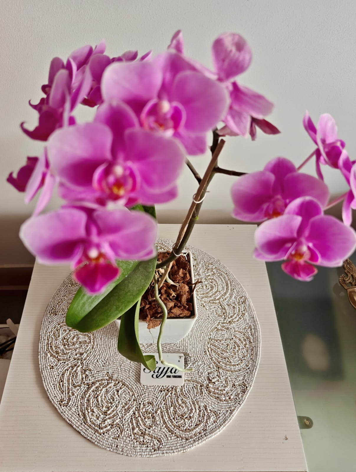 Vintage Beads Glass Table Mat Placemat -In the quest of Ikigai, these contemporary pieces resonate silently yet seamlessly