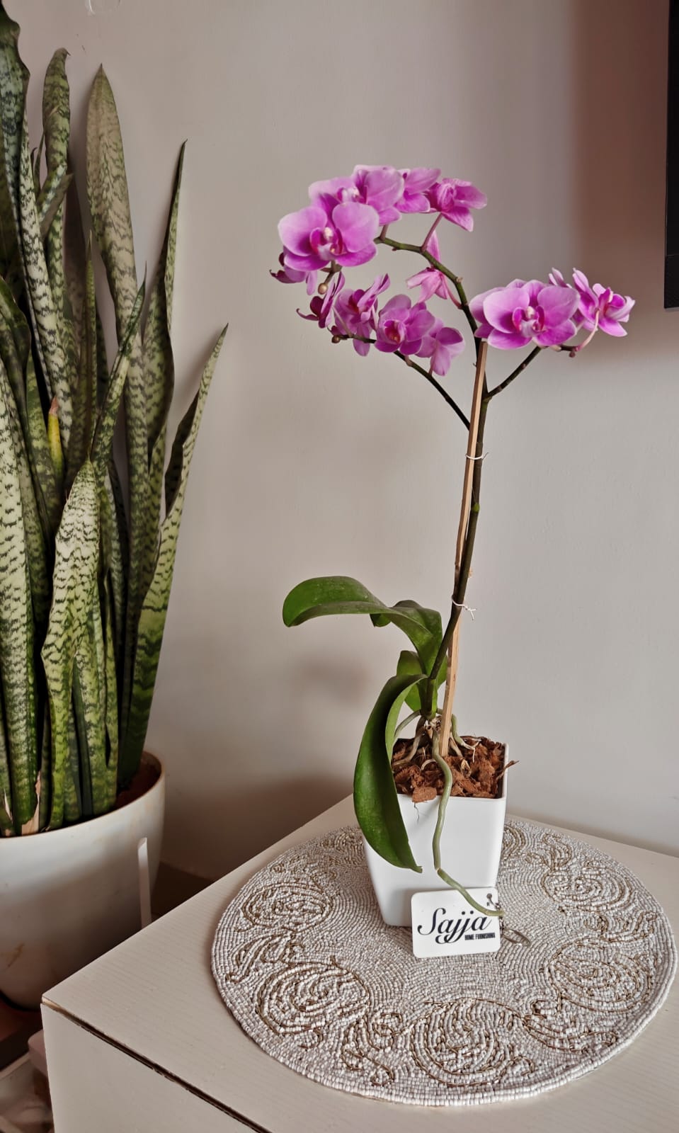 Vintage Beads Glass Table Mat Placemat -In the quest of Ikigai, these contemporary pieces resonate silently yet seamlessly