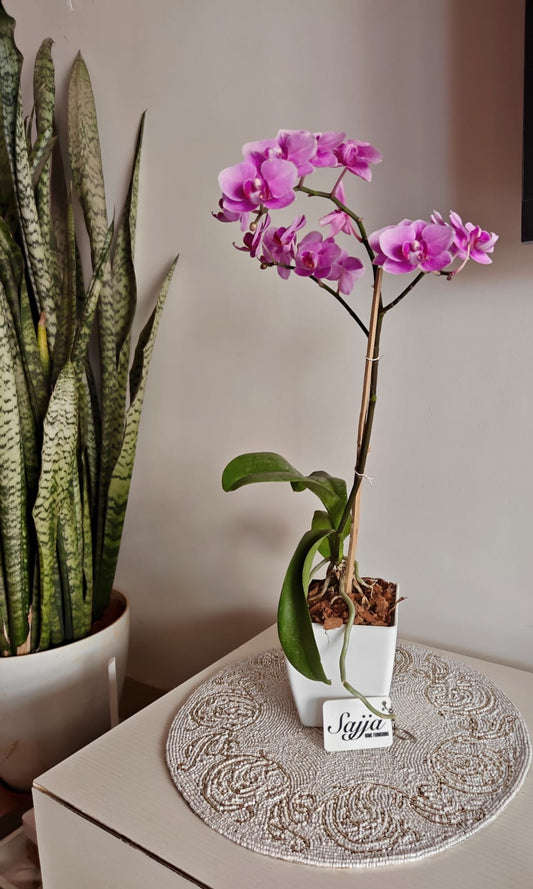 Vintage Beads Glass Table Mat Placemat -In the quest of Ikigai, these contemporary pieces resonate silently yet seamlessly