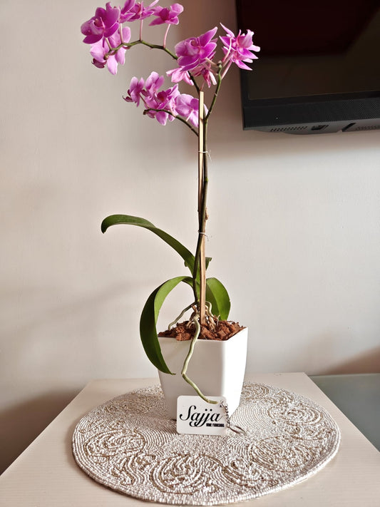 Vintage Beads Glass Table Mat Placemat -In the quest of Ikigai, these contemporary pieces resonate silently yet seamlessly