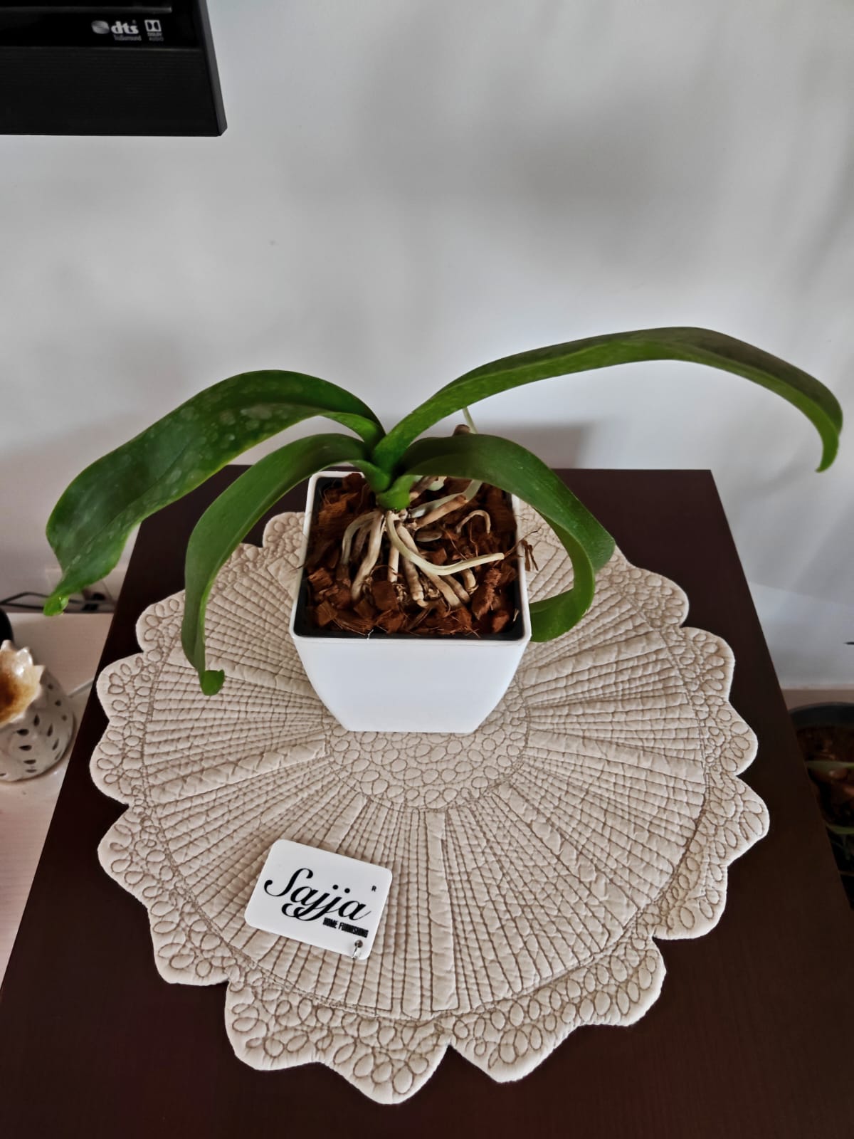 Stylish Beige Victorian Cotton Quilted Round Placemat Round (Set of 2)