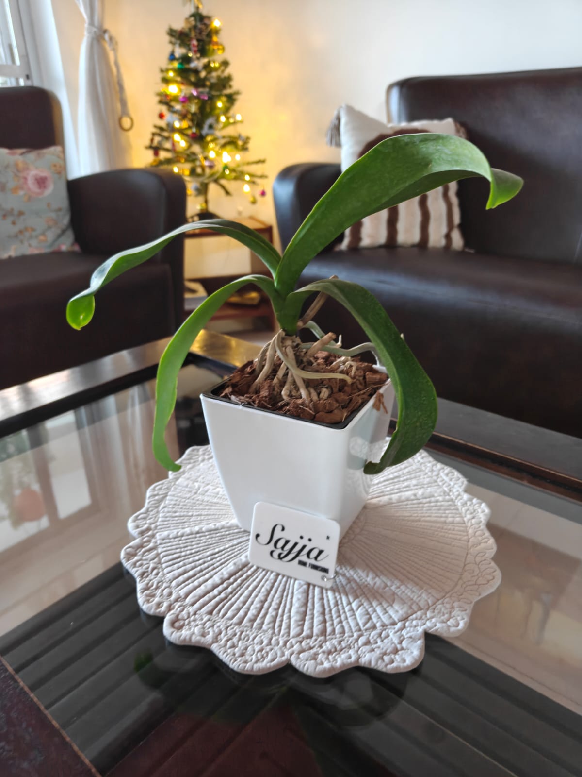 Designer Sajja Cotton Quilted Round Cotton Gray Table Mats Buy online