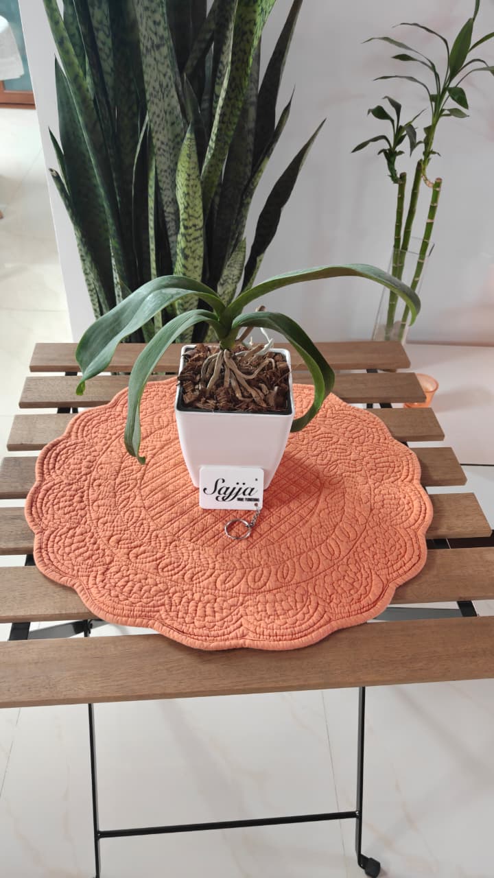 Buy online Orange Floral Cotton Round Table Placemat - 1 mat 