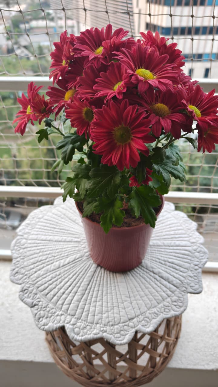 Silver Grey Small Round Quilted Decorative Table Placemat Trivet