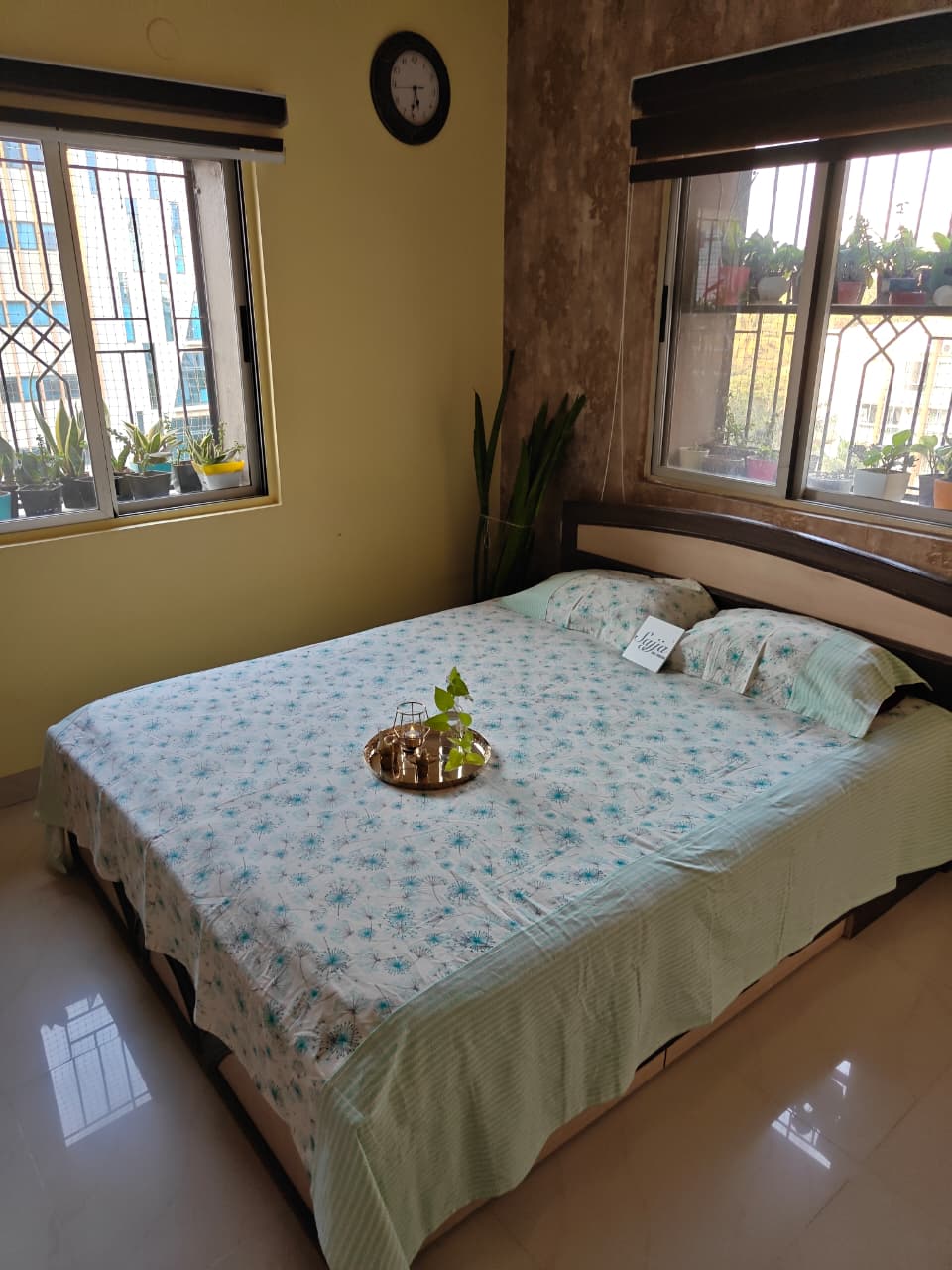 Duck Cotton Teal Turquoise King Size With Solid Border Double Bedcover with 2 Pillow Covers