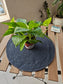 Navy Blue Round Cotton Fabric Placemat Table Mat- 1 piece