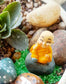 Yellow Happy Buddha  Set of 1 - Sajja Garden Nursery