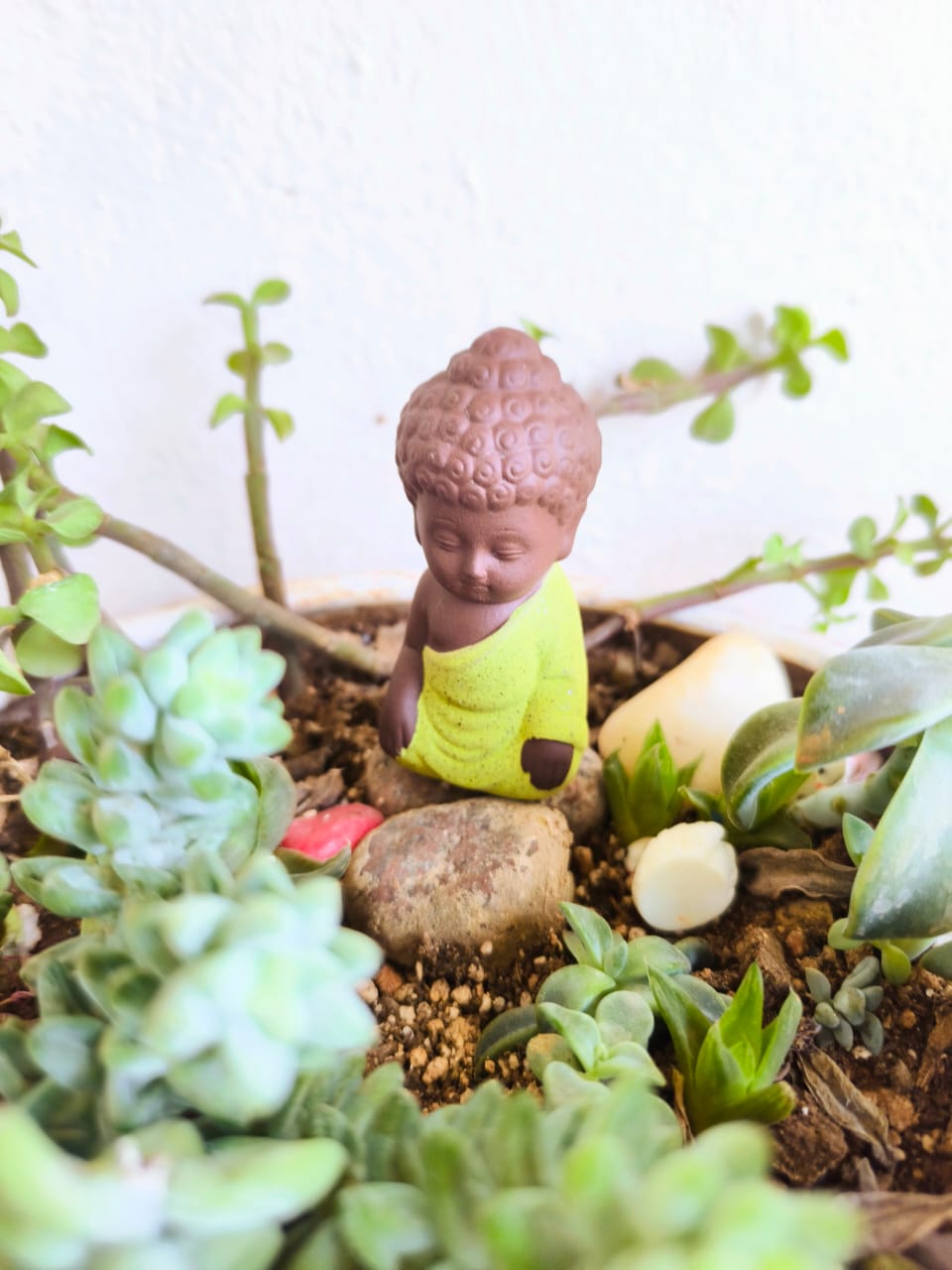 Meditating  Praying Light Green Buddha Set of 1 - Sajja Garden Nursery