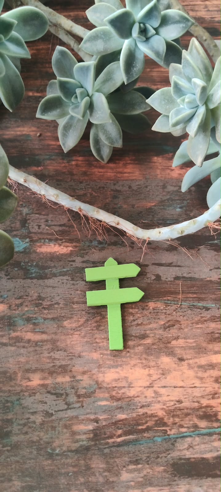 Miniature Green Wooden Direction Sign  Set of 1 -Sajja Garden Nursery