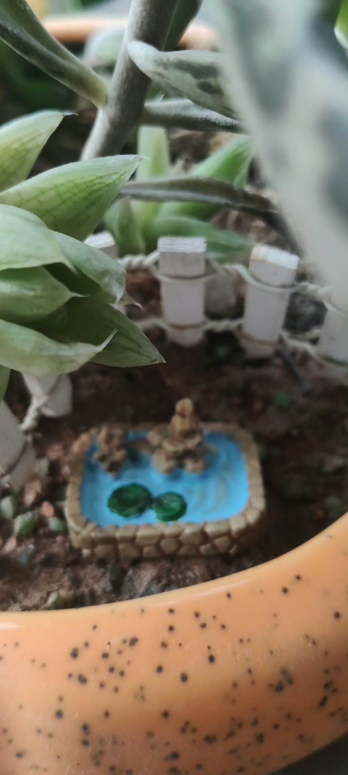 Miniature Artificial Garden Pond -Set of 1 - Sajja Garden Nursery