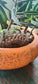Miniature Decorative Garden English  Bridge