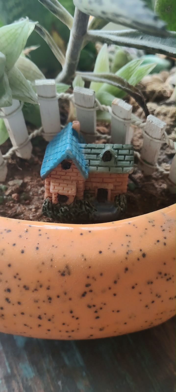 Miniature Resin Whimsy Cottage Figurine Set of 1 piece- Sajja Garden Nursery