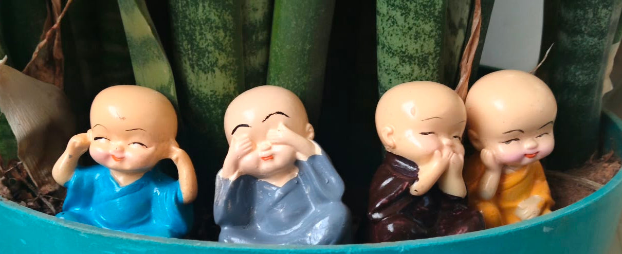 Miniature Little Monks  Set of 4 - Sajja Garden Nursery