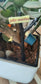 Miniature Barrel Road Sign Set of 1 - Sajja Garden Nursery