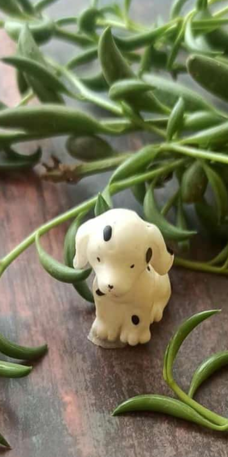 White Dog - Set of 1 - Sajja Garden Nursery