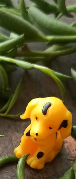 Yellow Dog - Set of 1 - Sajja Garden Nursery