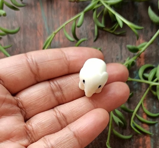 White Elephant Set of 1 - Sajja Garden Nursery